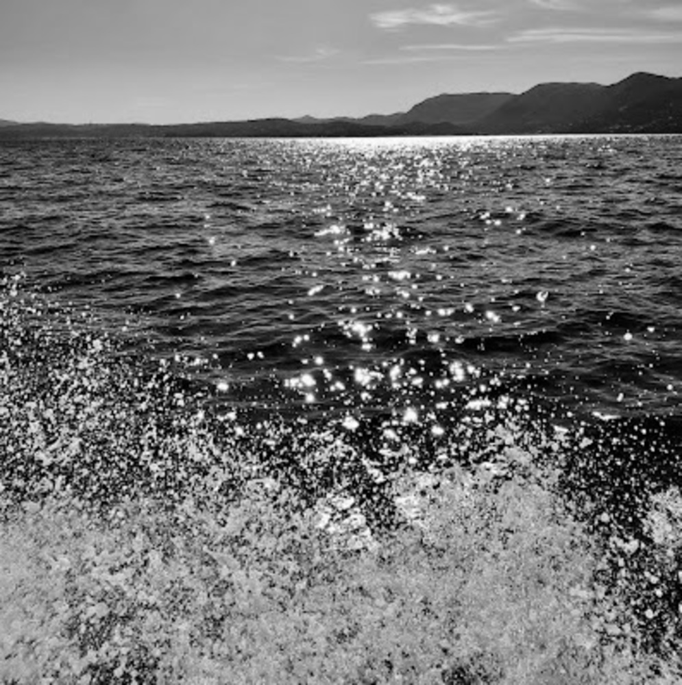 Meet your Posher, Eva